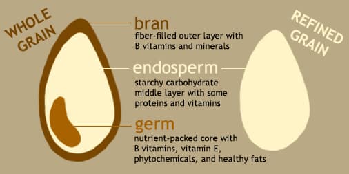 Sprouted grains infographic